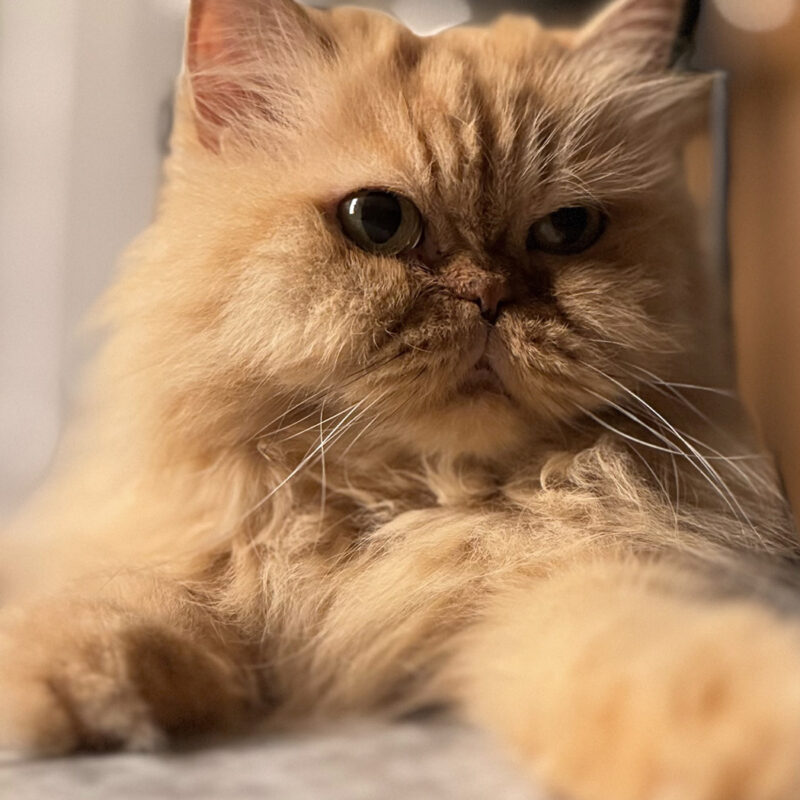 (Gökhan Danacıoğlu in Turkish) Gokhan Danacioglu's girl Sasha